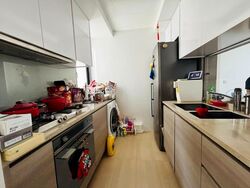 Sant Ritz (D13), Condominium #556823071